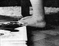 bild1.JPG (12363 bytes)